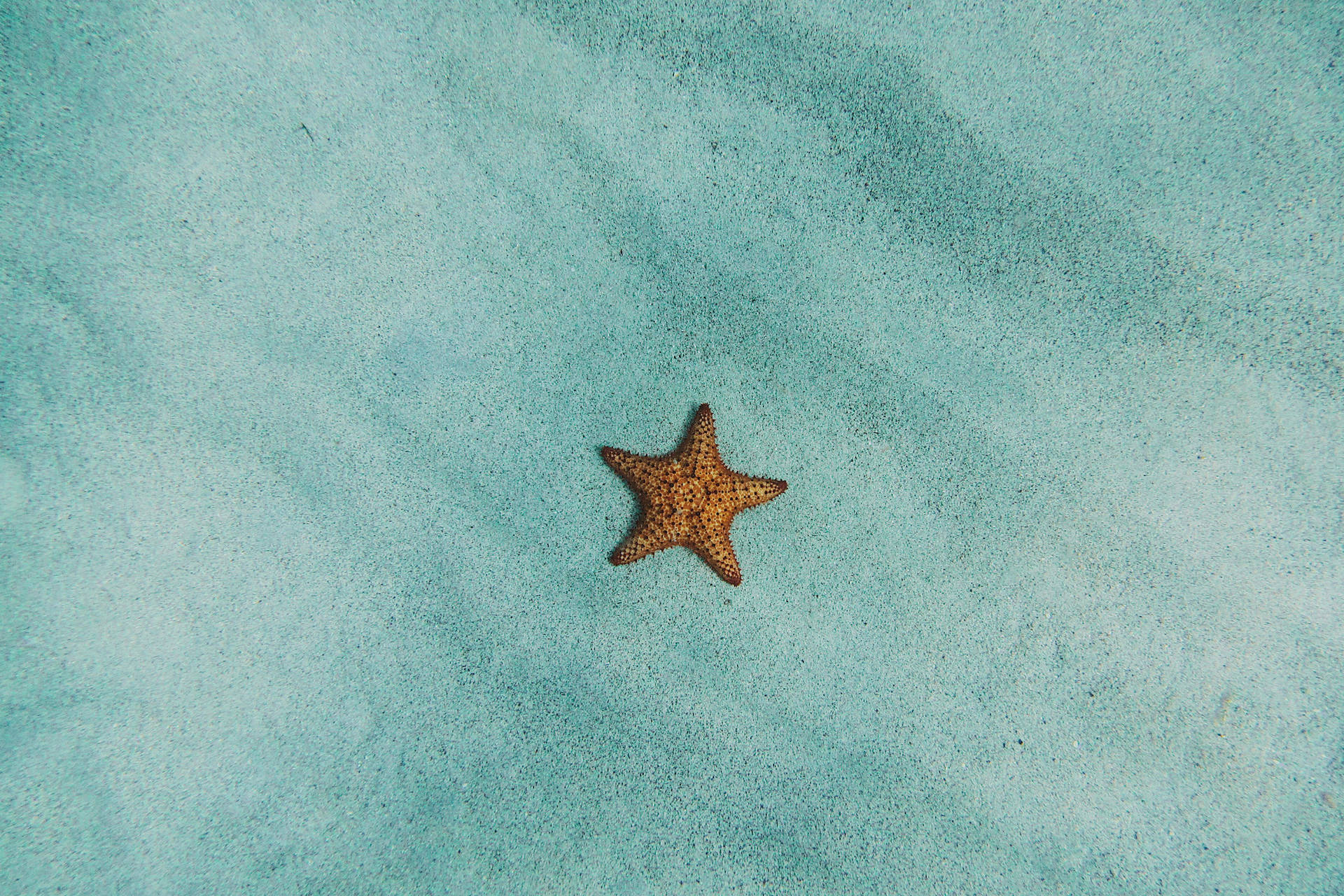 Combiné hôtels L'essence du Costa Rica : parenthèse tropicale durable - 3