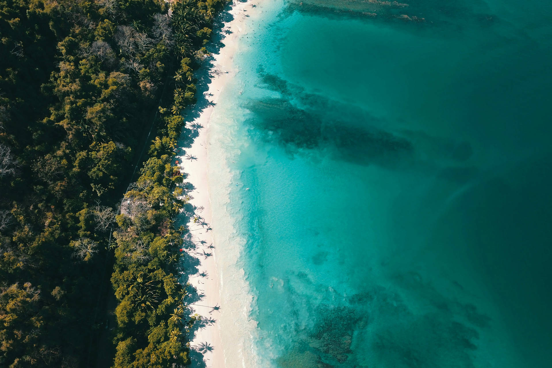 Combiné hôtels L'essence du Costa Rica : parenthèse tropicale durable - 6