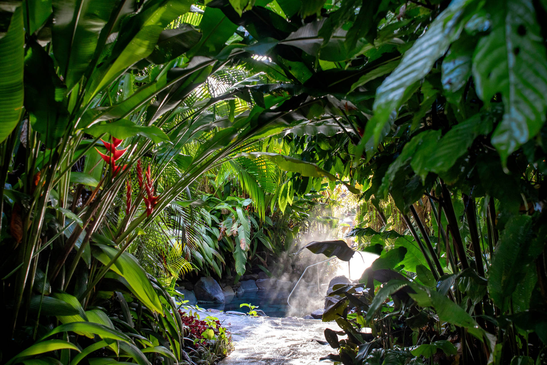 Autotour Harmonie tropicale : le Costa Rica autrement - 14