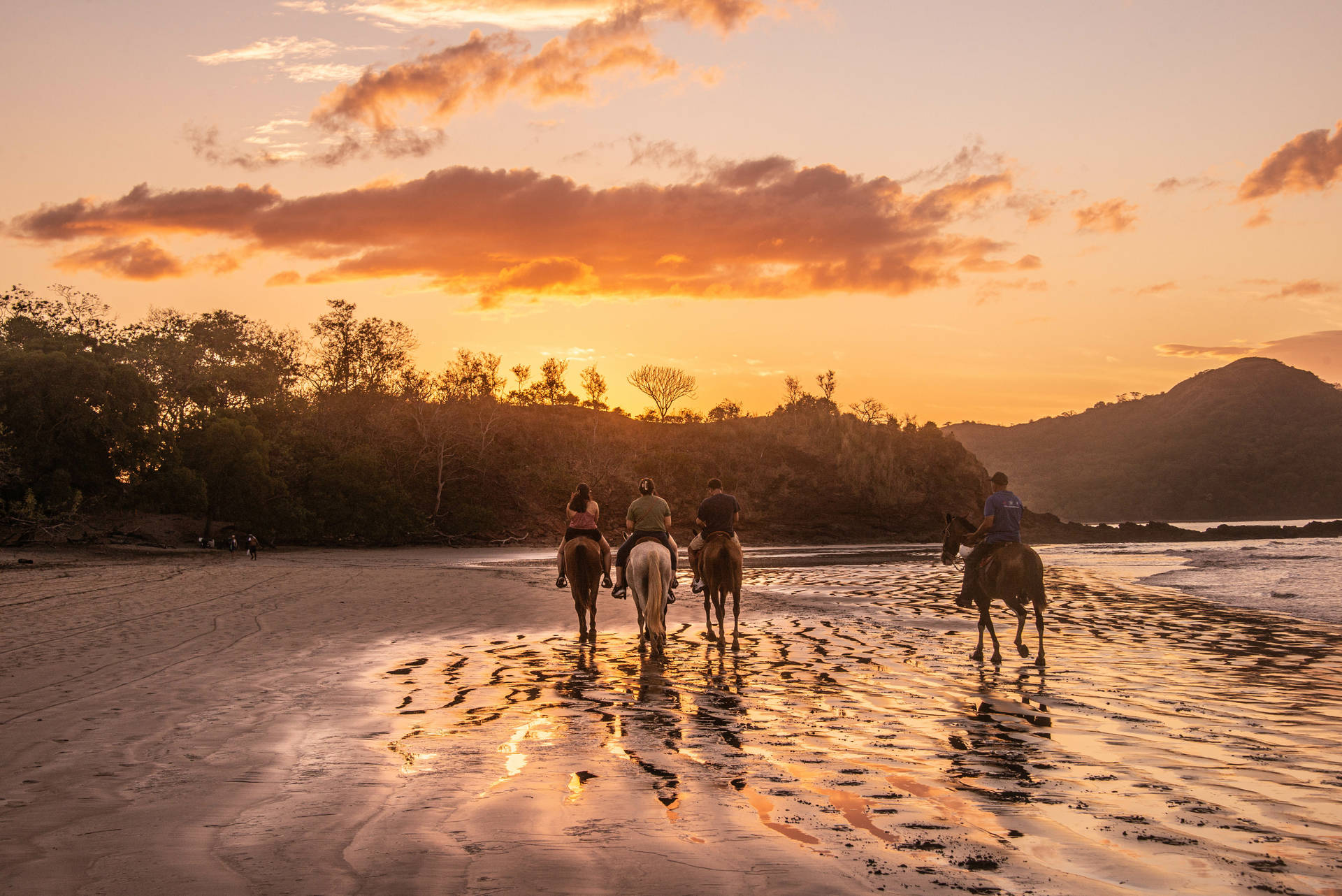 Combiné hôtels L'essence du Costa Rica : parenthèse tropicale durable - 16