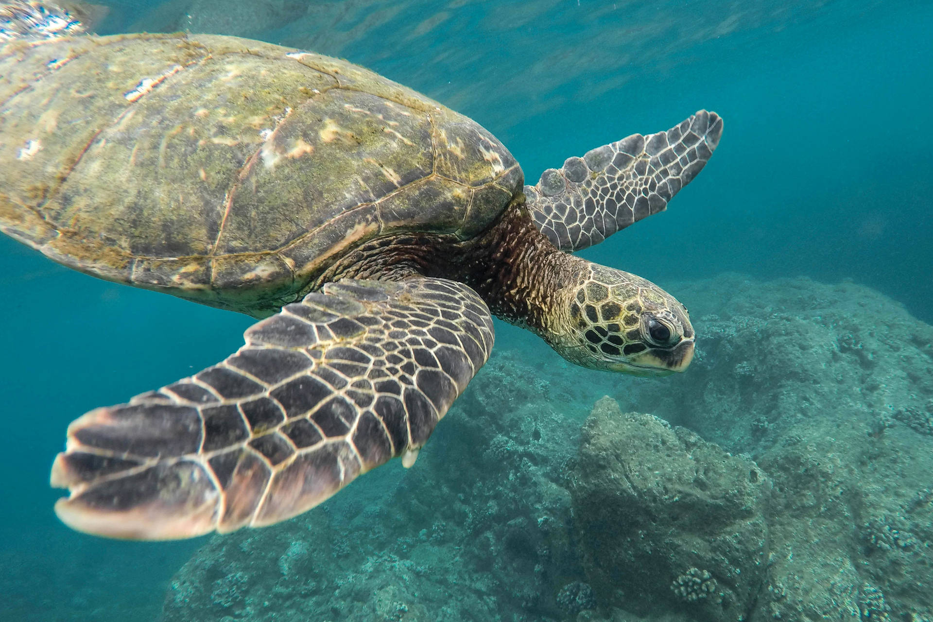 Combiné hôtels L'essence du Costa Rica : parenthèse tropicale durable - 19