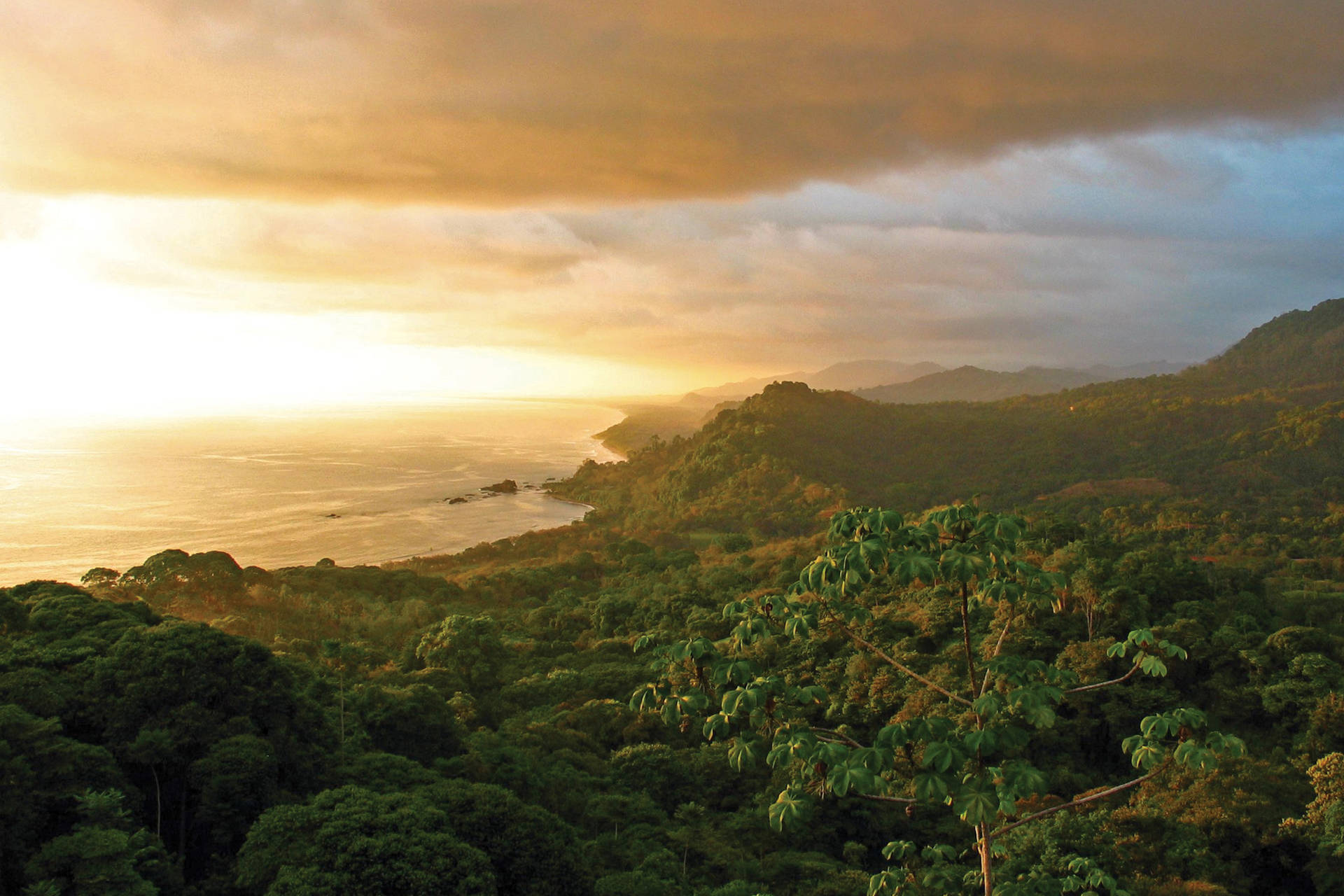 Combiné hôtels L'essence du Costa Rica : parenthèse tropicale durable - 17