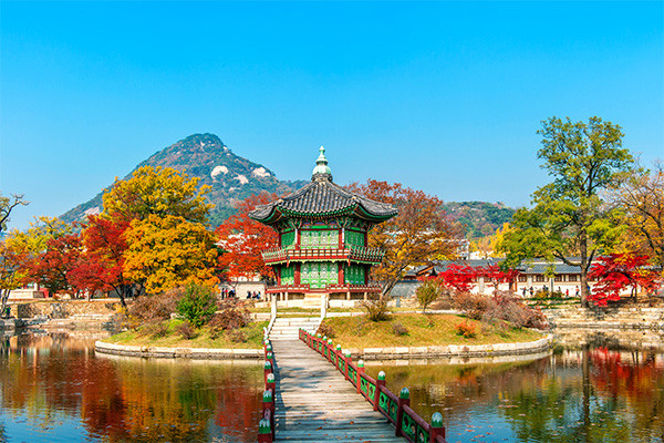 Image 10 du séjour Circuit Voyage en liberté, histoire et modernité de Séoul à Gyeongju *** à Seoul, Corée du Sud