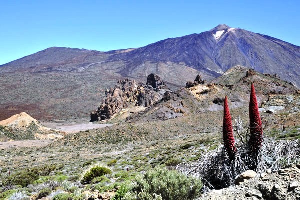 Autotour Sur les routes de Tenerife authentique - 6