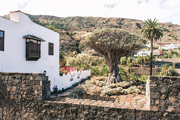 Circuit Saveurs et traditions des Canaries et plage au Hovima Cool Costa Adeje **** - 12