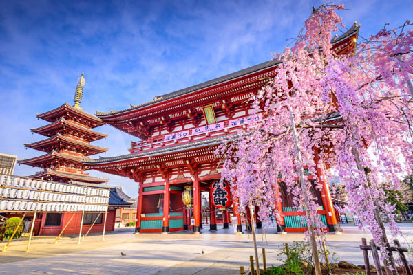 circuit le japon incontournable en liberté (hiver 25/26) ***