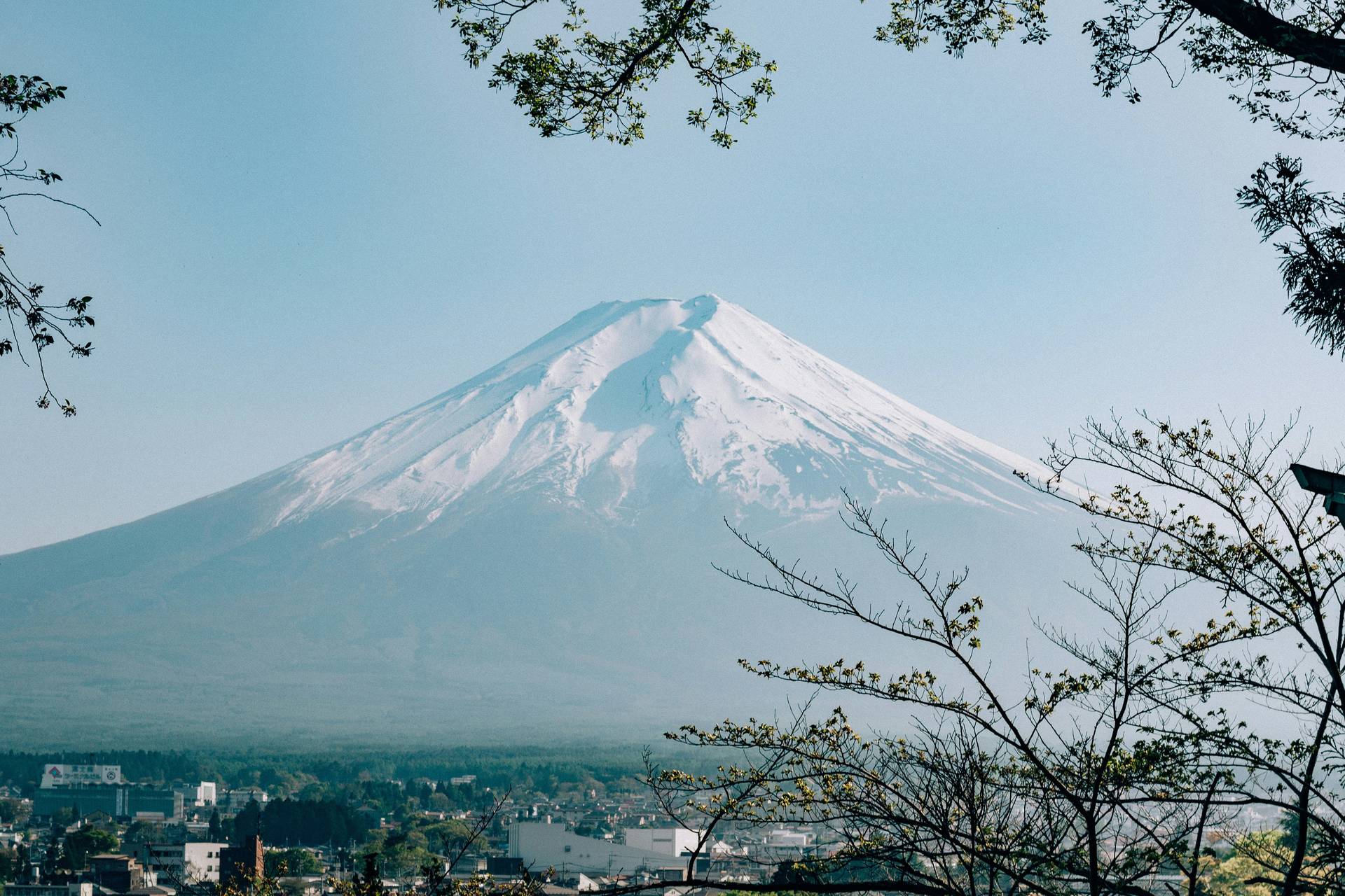 Circuit Japon, terre de contrastes ****