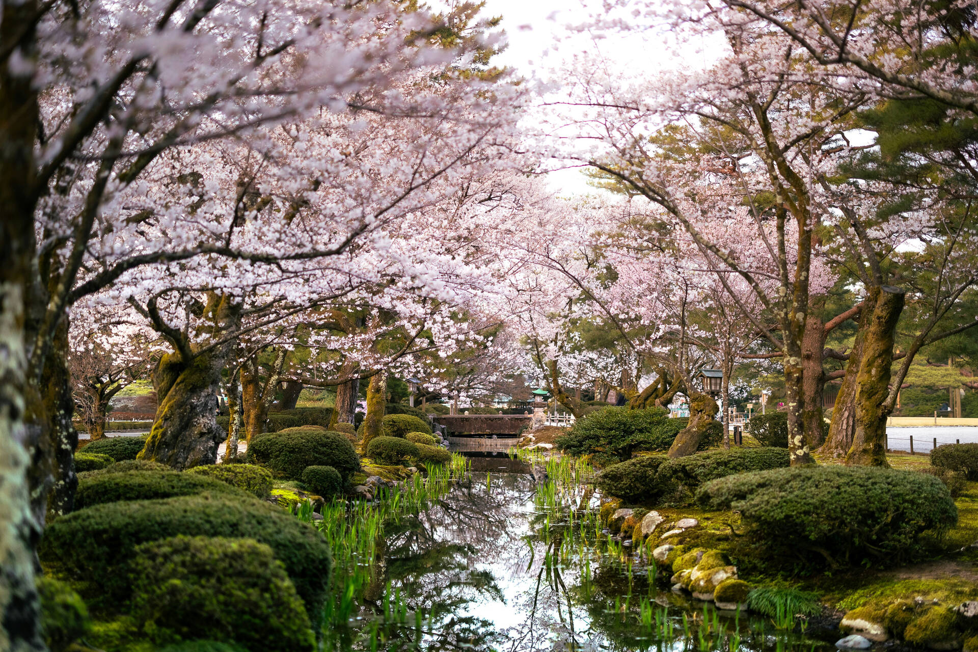 Circuit Sur les chemins secrets des Alpes Japonaises - 2