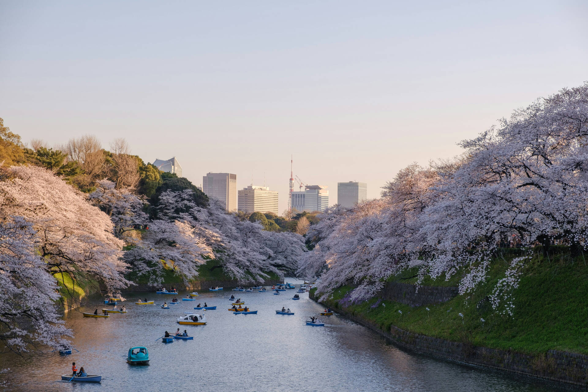 Circuit Sur les chemins secrets des Alpes Japonaises - 7
