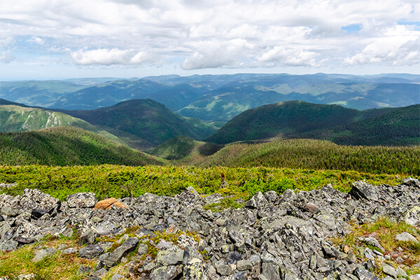 Circuit Exploration de l'Est canadien avec étape nature et Gaspésie - 16