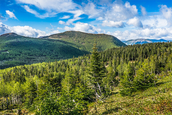 Circuit Exploration de l'Est canadien avec étape nature et Gaspésie - 17