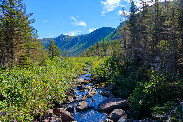 Circuit Exploration de l'Est canadien avec étape nature et Gaspésie - 20