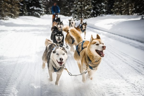 Circuit Aventure arctique en Laponie Norvégienne *** - 23