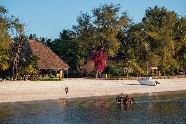 Hôtel JAZ Elite Aurora ***** - 15