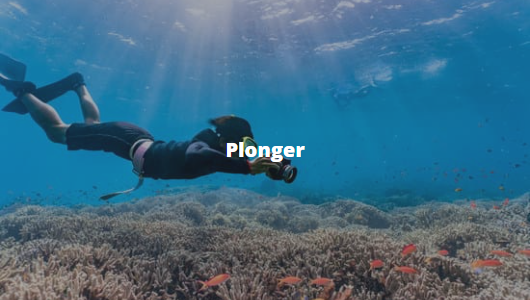 Plonger