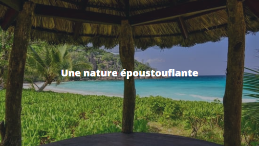 Une nature époustouflante