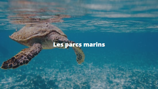 De nombreuses activités