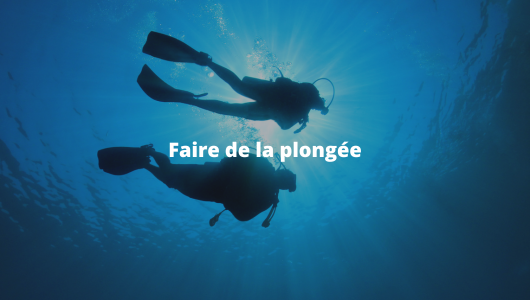 Plonger