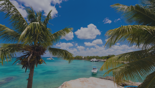 découvrir les terres