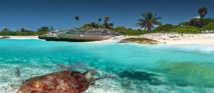 S&eacute;jours Ocean indien et Pacifique