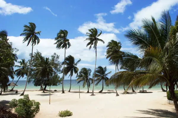 Zanzibar : Hôtel Chwaka Bay Resort
