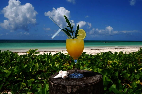 Zanzibar : Hôtel Sahari Zanzibar